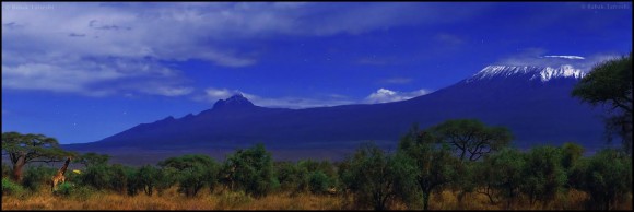Giraffes and acacia trees against the spectacular moonlit backdrop of Mount Kilimanjaro, as seen from Amboseli National Park, Kenya. The head of a zebra is also visible on the left. The main peak of Kilimanjaro is Kibo that reaches 5,895 m (19,341 ft). The smaller peak is Mawenzi at 5,149 m (16,893 ft) and meaning the moon in Swahili. Credit and copyright: Babak A. Tafreshi.