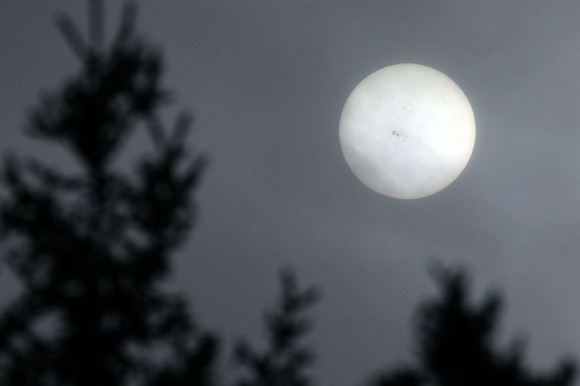 Sunspot region 1967 is so big it easily popped into view through a "cloud filter" Sunday afternoon Feb. 2. The group is visible with the naked eye properly shielded by a safe solar filter. Details: 350mm lens at f/11, ISO 200 and 1/2000". Credit: Bob King