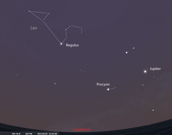 To find Regulus, face southwest shortly before 2 a.m. The star will be about 40 degrees high (four ‘fists’ held at arm’s length against the sky). Brilliant Jupiter shines well to its lower right. You may also notice a ‘coathangar’ or ‘backwards question mark’ shape of stars above Regulus called the Sickle of Leo. Stellarium