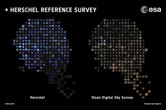 Galaxies in the Herschel Reference Survey in infrared/submillimeter wavelengths (with the Herschel space telescope, at left) and the Sloan Digital Sky Survey (right). Herschel's false-color image shows galaxies with cold dust (blue) and warm dust (red). Sloan highlights young stars (blue) and old stars (red). "Together, the observations plot young, dust-rich spiral/irregular galaxies in the top left, with giant dust-poor elliptical galaxies in the bottom right," the European Space Agency stated. Credit: ESA/Herschel/HRS-SAG2 and HeViCS Key Programmes/Sloan Digital Sky Survey/ L. Cortese (Swinburne University)