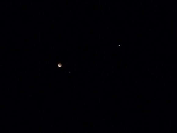 IPhone eclipse. Credit: Mike Weasner.