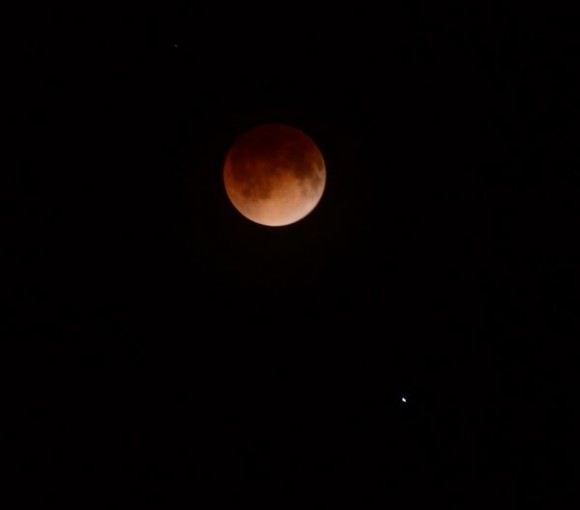 Approaching totality as seen from Jacksonville, Florida. Credit Richard Hay @WinObs