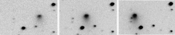 Discovery images of Comet Jacques by the SONEAR team show a small, condensed object with a short, faint tail. Credit: SONEAR