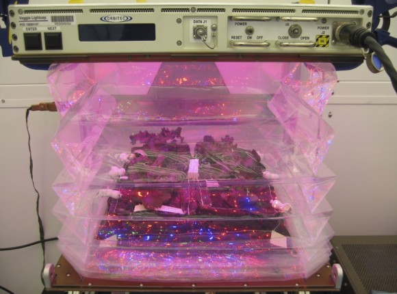 The Veggie "pillow" is expandable to 11.5 inched wide by 14 inches deep. Credit: NASA/Bryan Onate