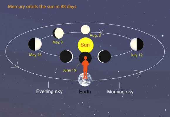 Mercury, like Venus, displays phases as it revolves around the sun as seen from Earth's perspective outside Mercury's orbit. Credit: Bob King