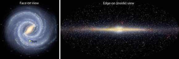 Two different perspectives on our galaxy to help us better understand its shape. A face-on artist's view at left reveals the core and arms. At right, we see a photo of the Milky Way in infrared light by the Cosmic Background Explorer probe showing us an edge-on perspective, the view we're 'stuck with' but dint of orbiting inside the galaxy's flat plane. Credit: NASA/JPL et. all (left) and NASA
