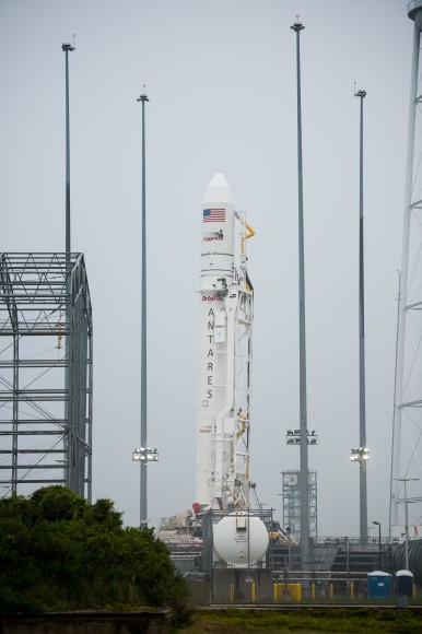 The Orbital Sciences Corporation Antares rocket, with the Cygnus spacecraft aboard, stands vertically at Launch Pad-0A after successfully being raised into position Thursday, July 10, 2014, at NASA’s Wallops Flight Facility in Virginia. Credit: NASA/Aubrey Gemignani.