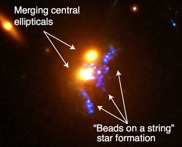 Close up of the two elliptical galaxies undergoing a merger. The blue blobs are giant star clusters forming from gas colliding and collapsing into stars during the merger. Click for the scientific paper on the topic. Credit: NASA/ESA/Grant Tremblay