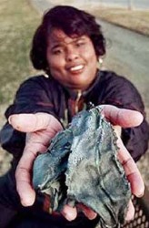 The only person to be hit by manmade space debris was Lottie Williams in 1997. She was unharmed. Credit: Tulsa World