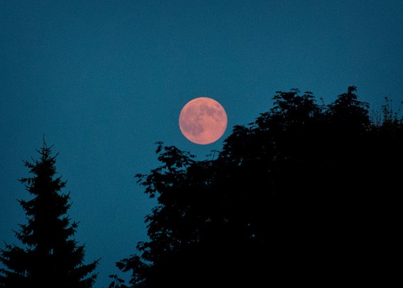 'Super' Moon, August 10, 2014, taken with Nikon D80 from Ottawa, Canada. Credit and copyright: Andrew Symes.