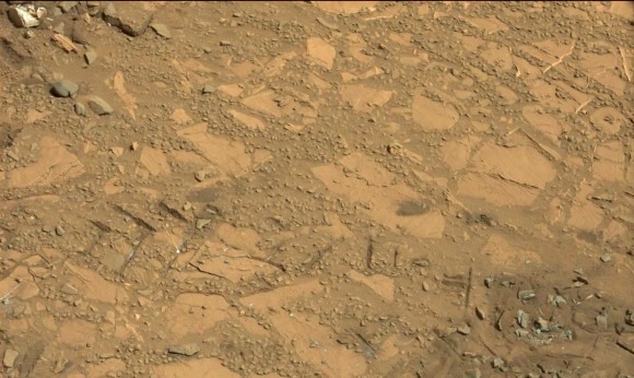 Drilling Candidate Site 'Bonanza King' on Mars. This image from the Mast Camera (Mastcam) on NASA's Curiosity Mars rover shows a portion of the pale rock outcrop that includes the "Bonanza King" target chosen for evaluation as the mission's fourth rock-drilling site. Raised ridges on the flat rocks -- possible mineral veins -- are visible at upper and middle right. Tread marks from one of Curiosity's wheels are visible in the lower half of the image from Sol 707, Aug. 12, 2014. Credit: NASA/JPL-Caltech/MSSS