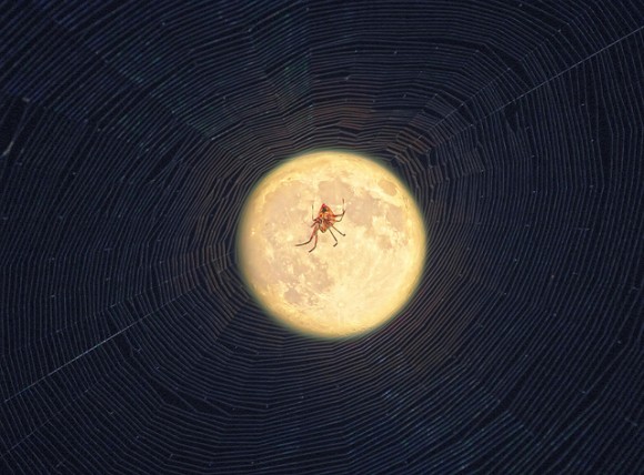 Awesome Astrophotos: Caught in the Web of the SuperMoon