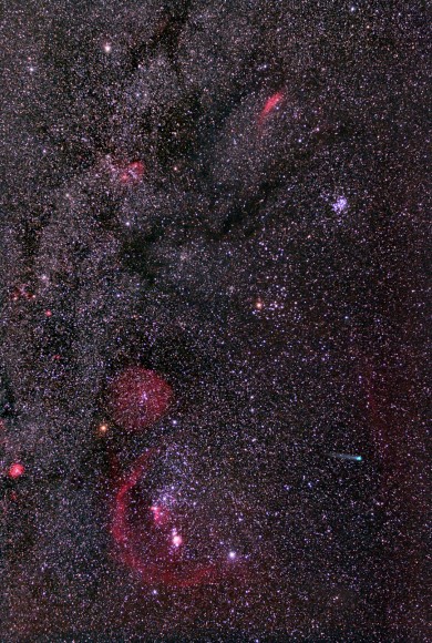 Wide angle shot of Comet Lovejoy with the constellation Orion, showing rich fields of red nebula, star clouds and dark nebula with the bright green naked eye comet. Credit and copyright: Chris Schur.