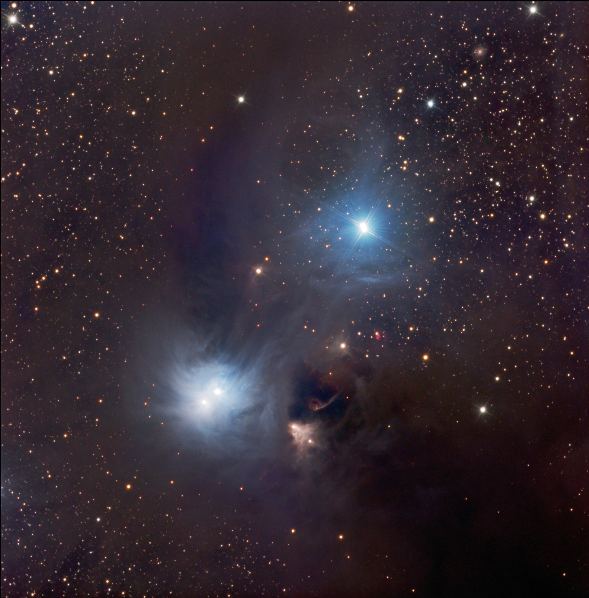 Beauty and the Beast: The Corona Australis Nebula by Eddie Trimarchi