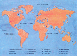 How Many Oceans in the World?