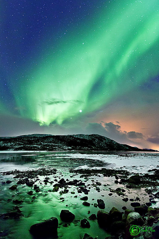 Šiaurės pašvaistė Niose, Nordlande, Norvegijoje. ©Frank Olsen