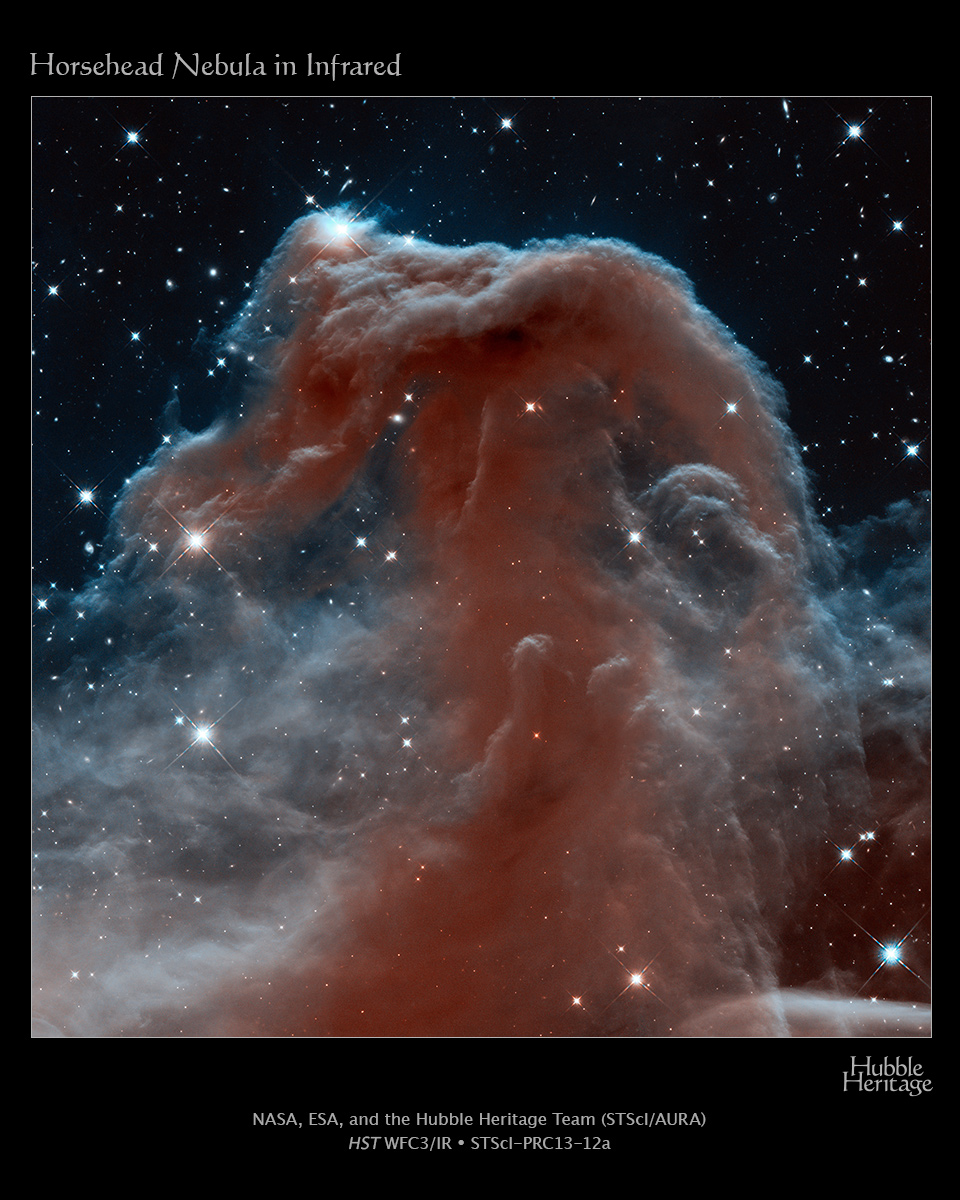 Arklio galvos ūkas. Infraraudonas vaizdas. ©NASA, ESA, Hubble Heritage Team
